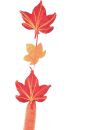 Türkranz - herbstliche Ahornblattgirlande Farbe braun